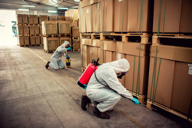 Best Wasp Removal Services  in Julesburg, CO