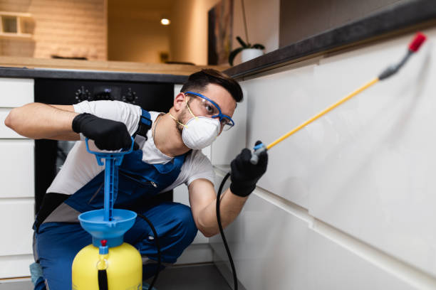 Best Pest Prevention Services  in Julesburg, CO