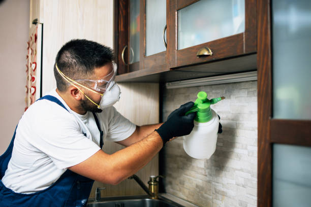 Best Best Pest Control Companies  in Julesburg, CO
