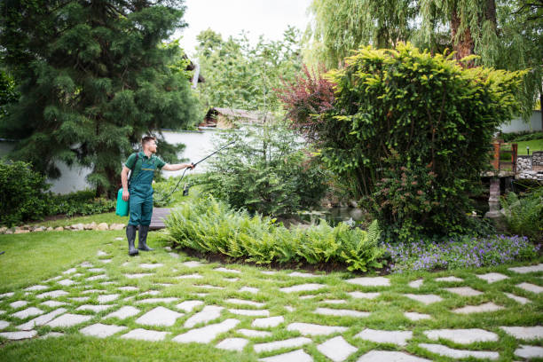 Best Pest Control for Homes  in Julesburg, CO