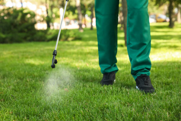 Best Bed Bug Extermination  in Julesburg, CO