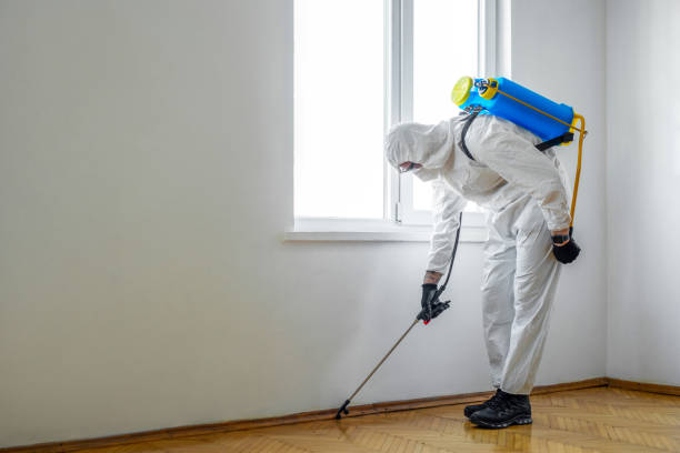 Best Local Pest Control Services  in Julesburg, CO