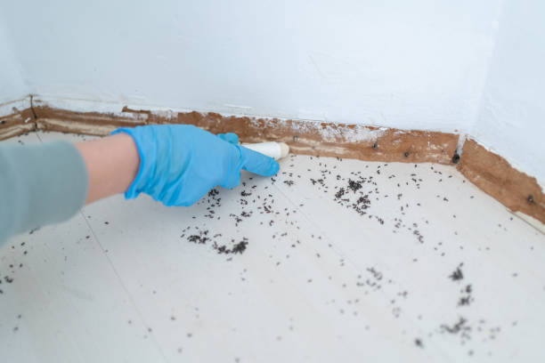 Best Pest Inspection Near Me  in Julesburg, CO