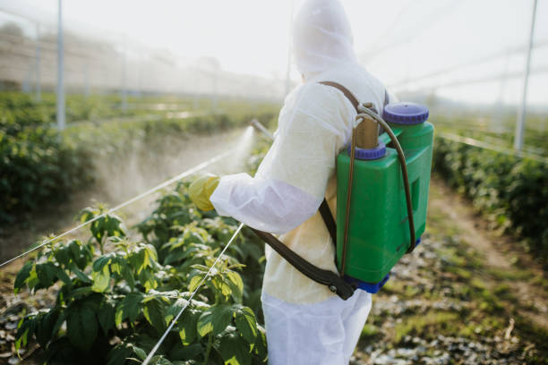 Best Flea Control Services  in Julesburg, CO